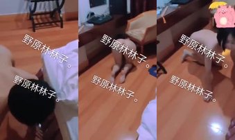 小猫咪学会捡球了（宠物驯化）