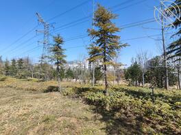 郑大一附院南区 高速路旁 野战好地方2